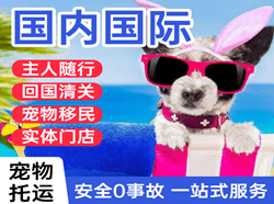 宜昌三峡国际宠物托运 【国